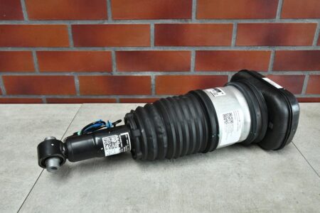 SOMMORTIZZATORE posteriore destro BMW X5 G05 X6 G06 6869038 23km SMONTAGGIO