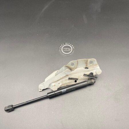 CERNIERA COFANO DESTRA 6H5216800AC RANGE ROVER EVOQUE 11-18 -72-