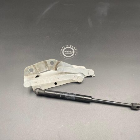 CERNIERA COFANO SINISTRA RANGE ROVER EVOQUE L538 11-18 -73-